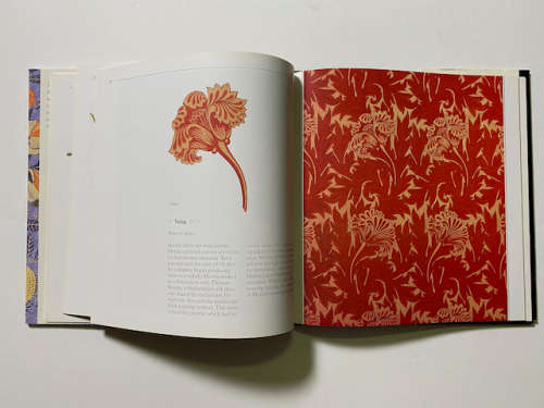 The Life and Works of William Morris