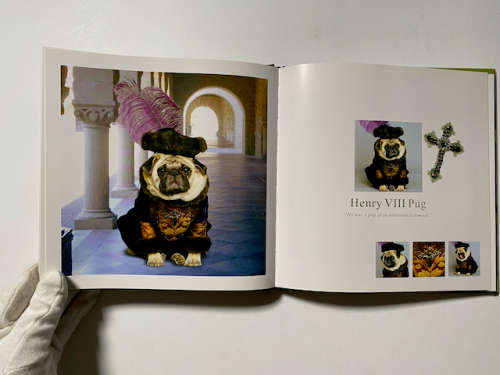 Fabulous Pugs by Lisa Knapp