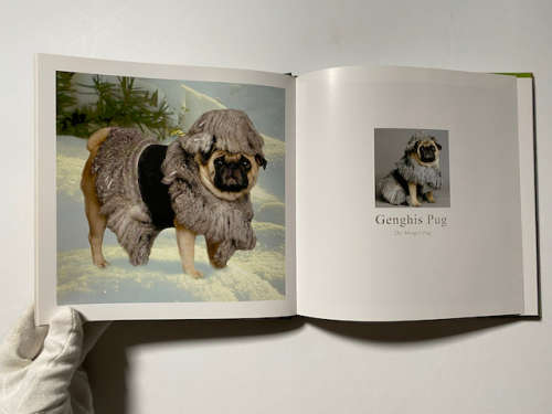 Fabulous Pugs by Lisa Knapp