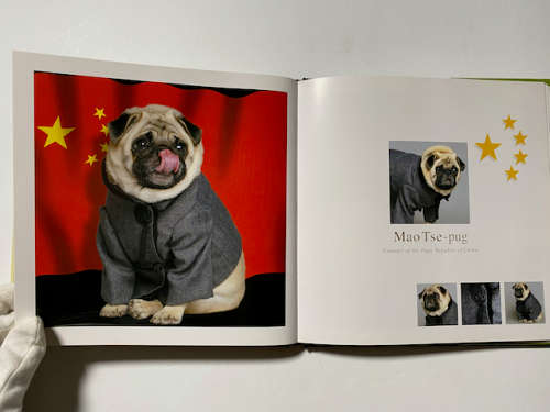 Fabulous Pugs by Lisa Knapp