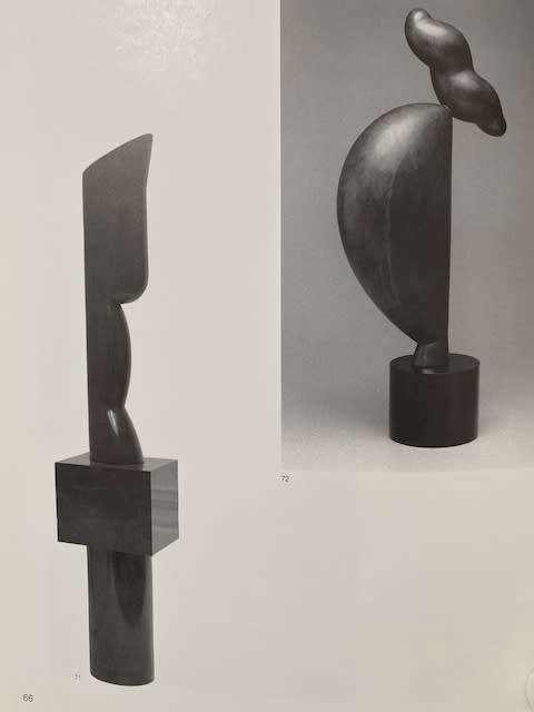 Constantin Brancusi (Modern Masters)
