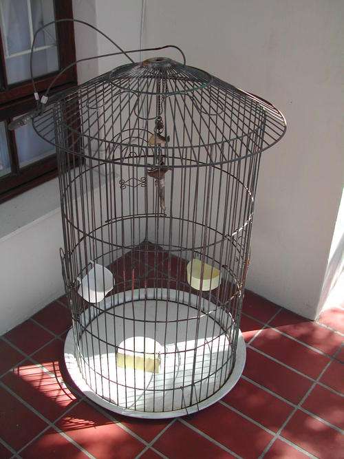 Bird Cage for Parrot or Large Bird