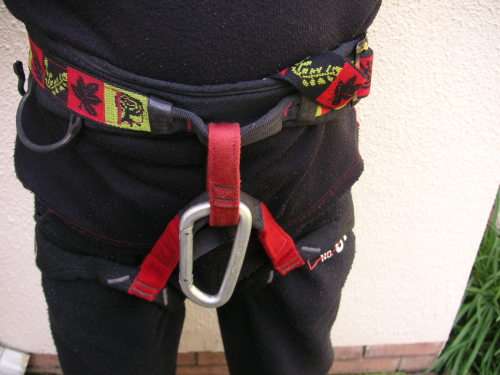 CLIMBING HARNESS