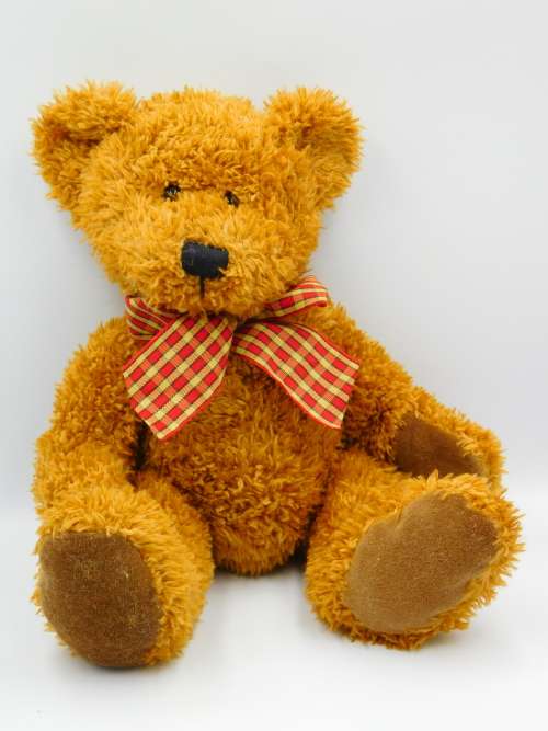 Brown Teddy Bear