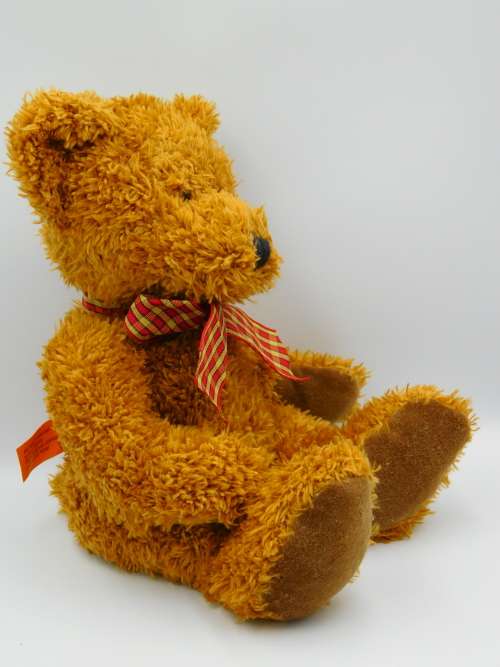 Brown Teddy Bear