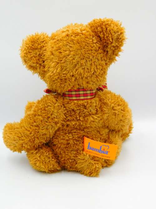 Brown Teddy Bear