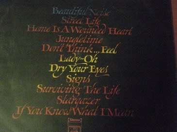 neil diamond-beautiful noise-lp record-33 rpm