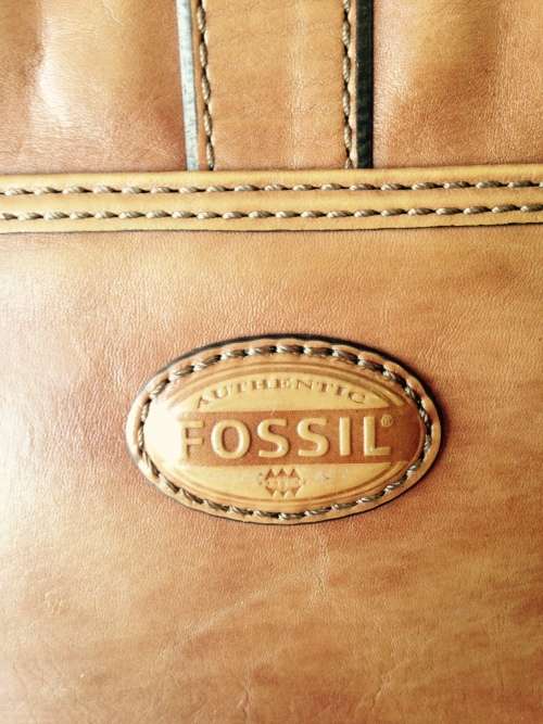 Fossil Bag