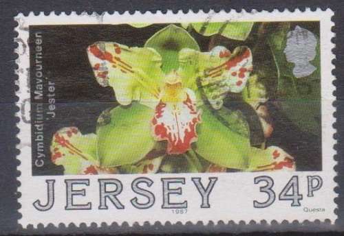 JERSEY 1988 Jersey Orchids CV R26