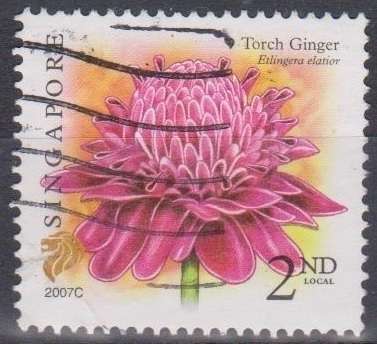 THEMATIC FLOWERS SINGAPORE