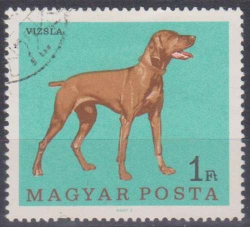 THEMATIC DOGS HUNGARY CTO