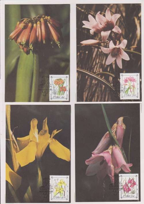 CISKEI 1988 CISKEI FLORA POSTCARD SET