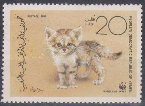 THEMATIC CATS YEMEN