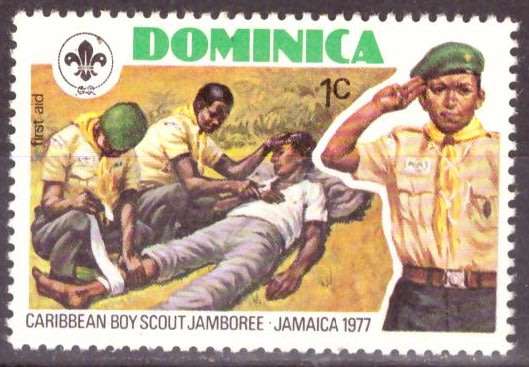 THEMATIC SCOUTS DOMINICA UMM
