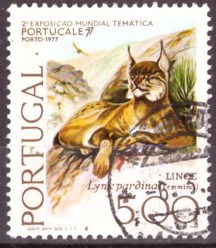 THEMATIC CATS PORTUGAL