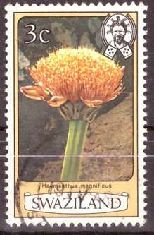 SWAZILAND  1980 Flowers UNH CV R4