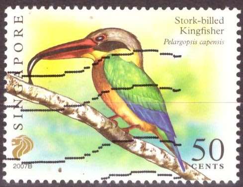 SINGAPORE  2007 Birds UNH CV R8