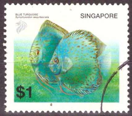 SINGAPORE  2002 Discus Cichlid UNH CV R16