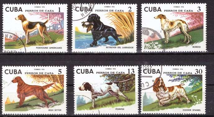 THEMATIC DOGS CUBA SELECTION BID RE STAMP TO TAKE ALL CARD EXCLUDED.