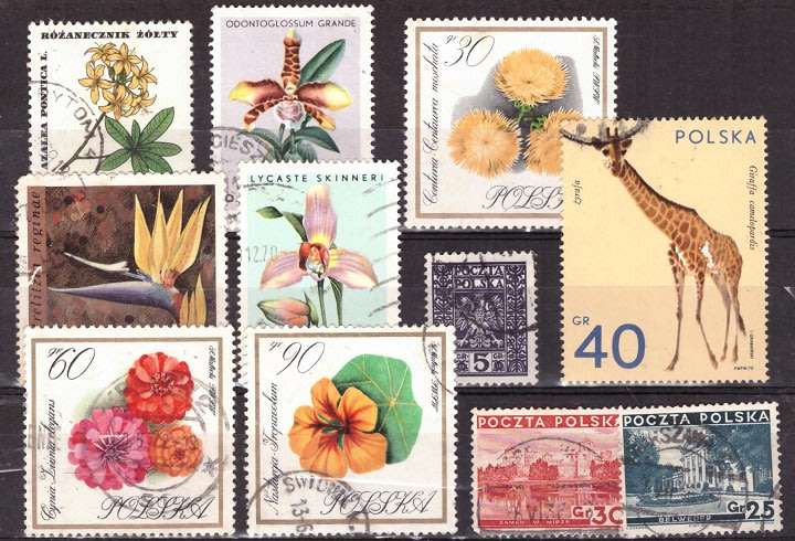 POLAND SELECTION BID RE STAMP TO TAKE ALL CARD EXCLUDED.