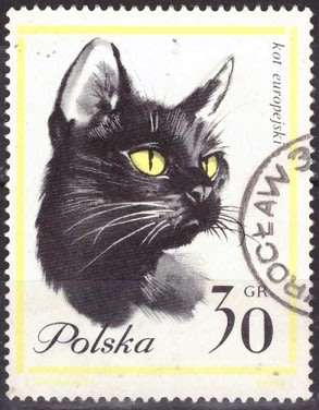 THEMATIC CATS POLAND ULH