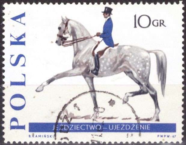 THEMATIC HORSES POLAND ULH