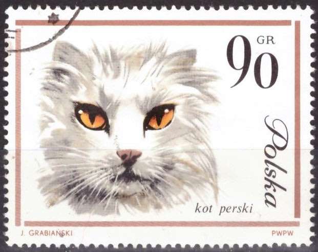 THEMATIC CATS POLAND ULH