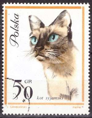 THEMATIC CATS POLAND ULH