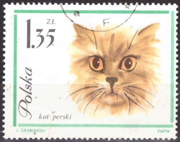 THEMATIC CATS POLAND UNH