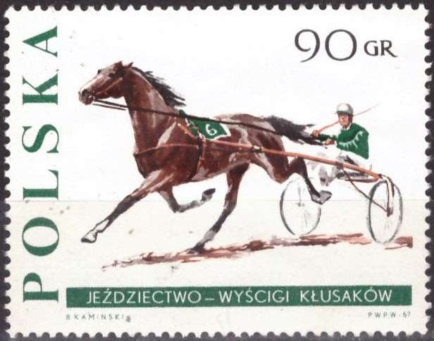 THEMATIC HORSES POLAND UNH
