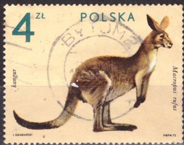 THEMATIC ANIMALS POLAND UNH