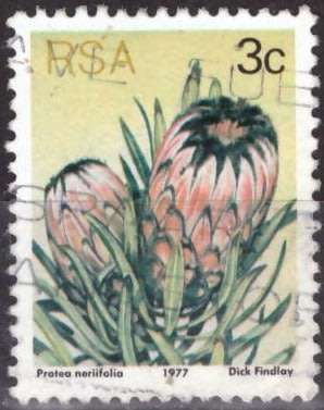 RSA STAMP
