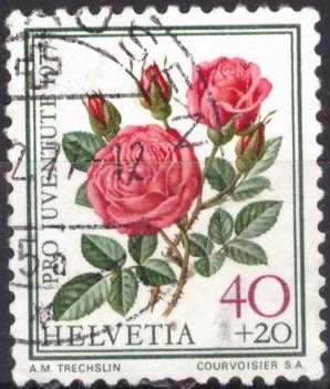 SWITZERLAND  1977 Pro Juventute - Roses UNH CV R4