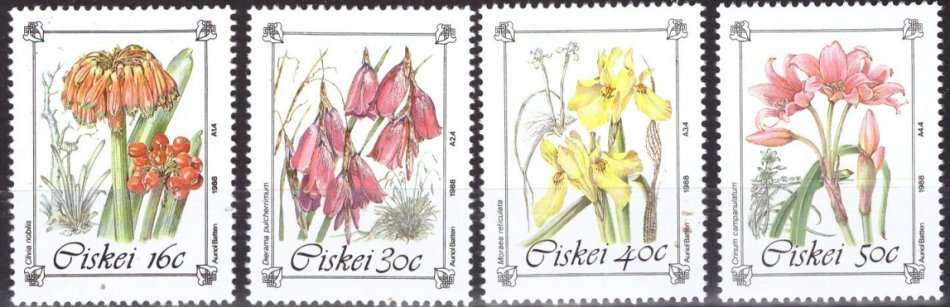 CISKEI  1988 Endangered and Protected Plant Species MNH SET