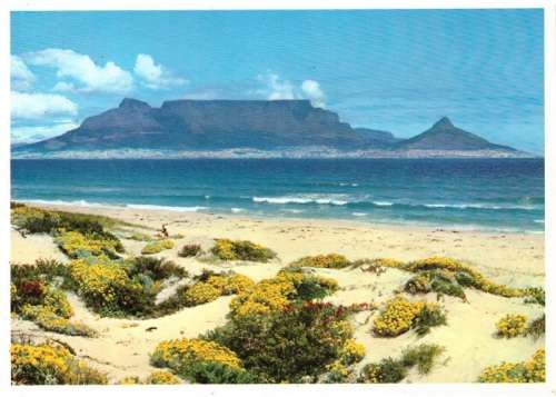 OLD UNUSED POST CARD CAPE TOWN