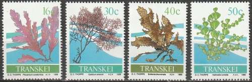TRANSKEI 1988 Seaweed UMM SACC 216-9