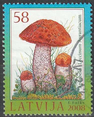 LATVIA 2008 Berries and Mushrooms UNH CV R104.50 SG 735