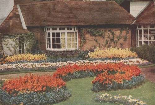 UNUSED POST CARD GARDEN STUDIES