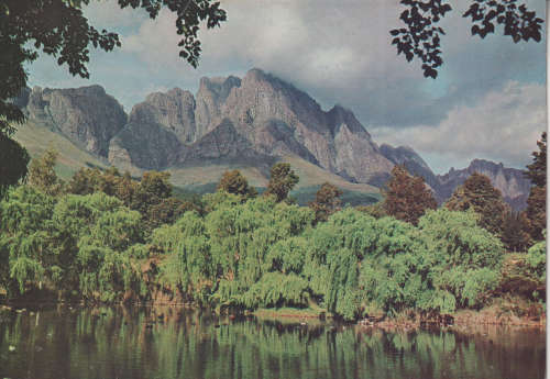 UN USED POSTCARD BIRD SANCTUARY STELLENBOSCH