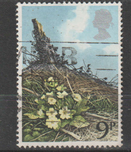 GB 1979 British Wild Flowers ULH SG 1079