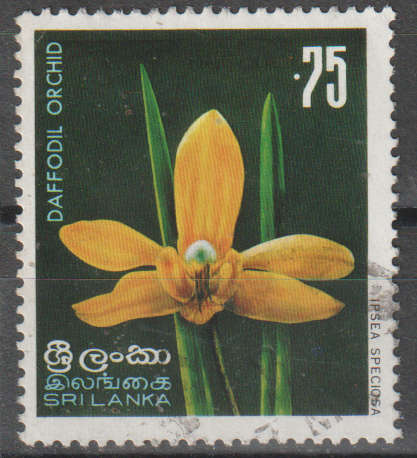 SRI LANKA 1976 Indigenous Flora ULH SG 613