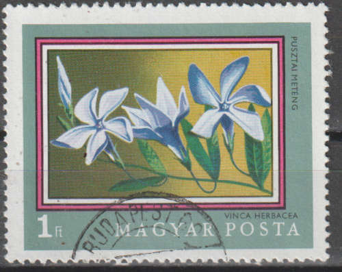 THEMATIC FLOWERS HUNGARY ULH