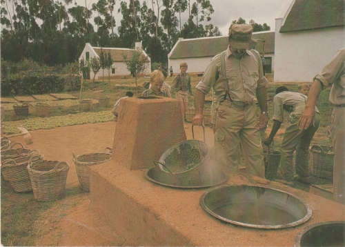 MINT POST CARD FARM MUSEUM WORCESTER SA