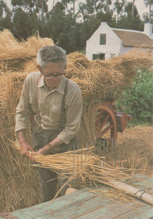 OLD UN USED POST CARD FARM MUSEUM WORCESTER