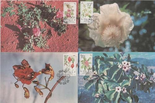 SWA MAXI CARD /POST CARD SET 1990