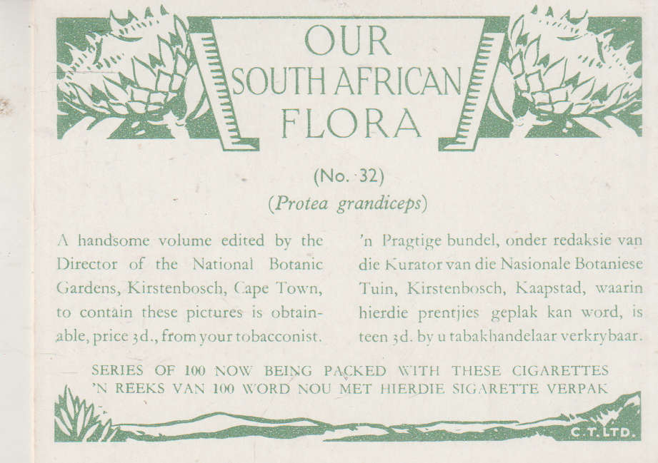 OUR SOUTH AFRICAN FLOWERS NO 32