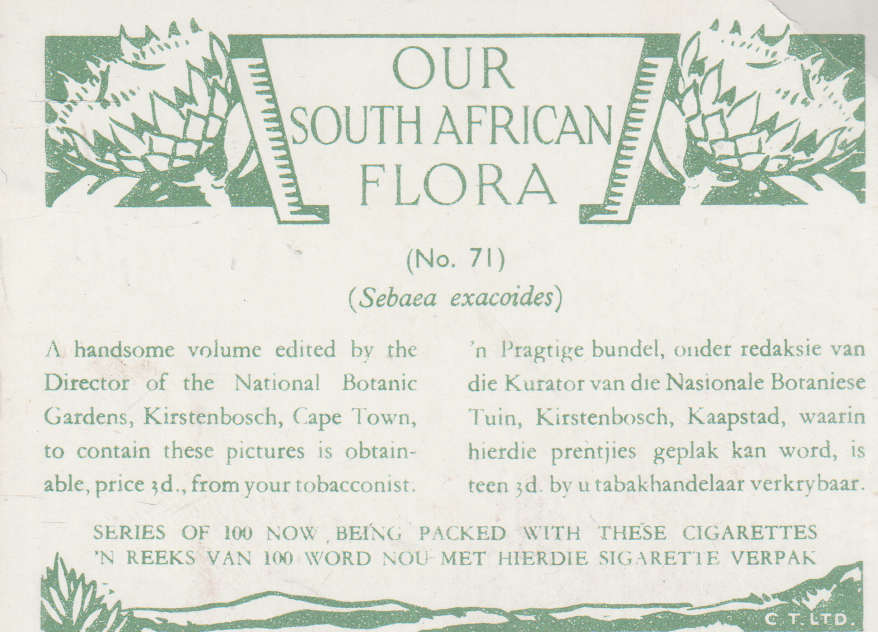 CIGARETTE CARD OUR SOUTH AFRICAN FLOWERS NO 71
