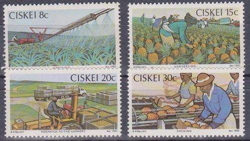 CISKEI 1982 Pineapple Industry MNH