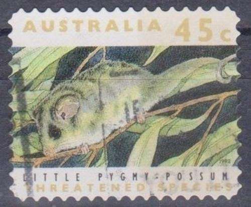 THEMATIC ANIMALS AUSTRALIA USED