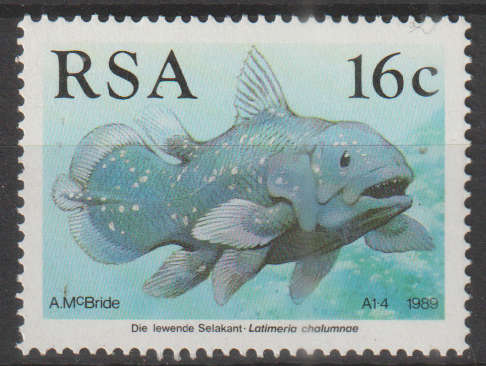 RSA UMM STAMP